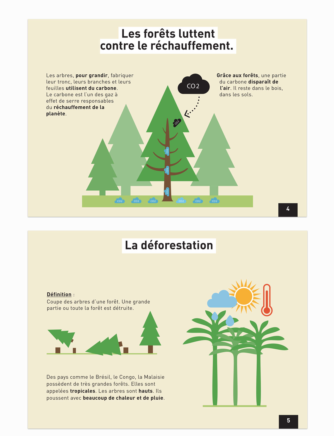 Double page du guide sur la lutte des forêt contre le réchauffement et la déforestation