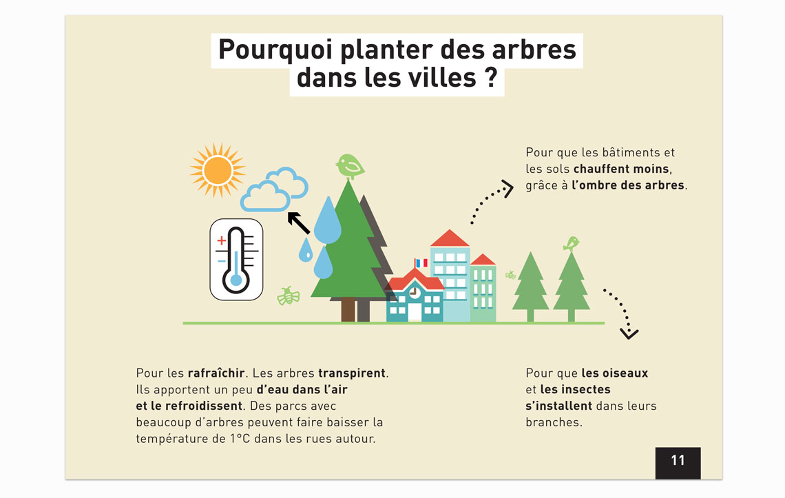 Page du guide sur pourquoi planter des arbres dans les villes.