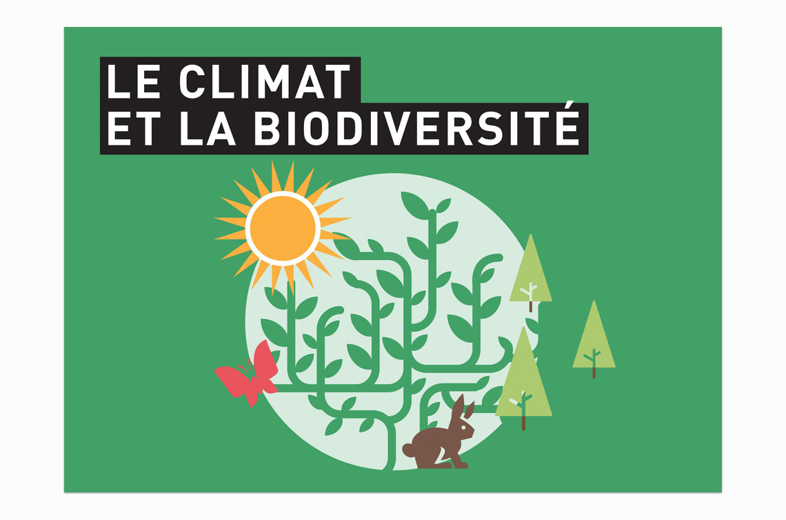 Cover page of guide in French for all® on the subjetct of forests and global warming