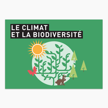 Guide en français pour tous sur les forêts et le réchauffement planétaire pour la COP21